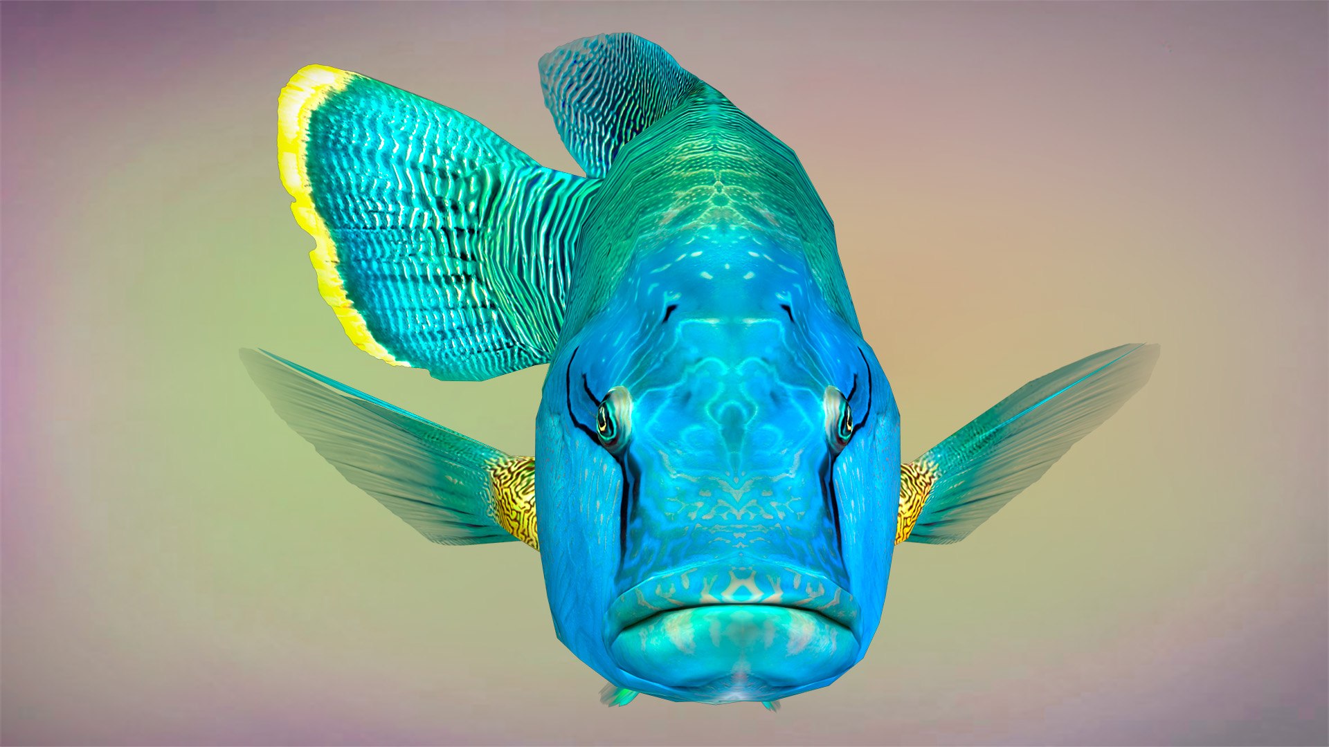 3D Fish Humphead Wrasse Low-poly 3D model https://p.turbosquid.com/ts-thumb/nD/bsteYJ/nA/view_6/jpg/1653941463/1920x1080/fit_q87/48ec8df33f2dea603e6de5778ad3b3f4face2eb3/view_6.jpg