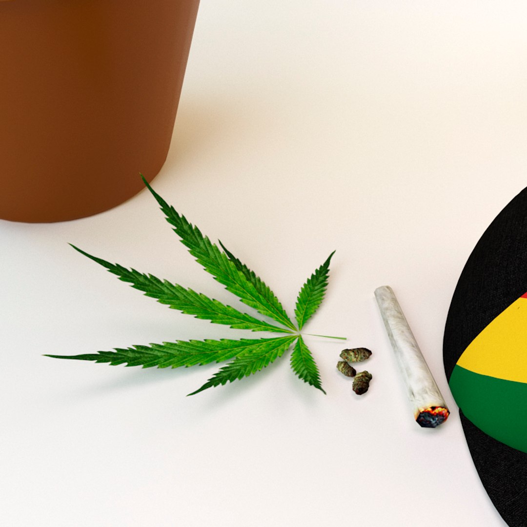3d marijuana model https://p.turbosquid.com/ts-thumb/nD/evgPy1/D5kmzv3y/3/jpg/1477511422/1920x1080/fit_q87/db4ab974a29e64b598aacf8a37ef0a2644fb4e03/3.jpg