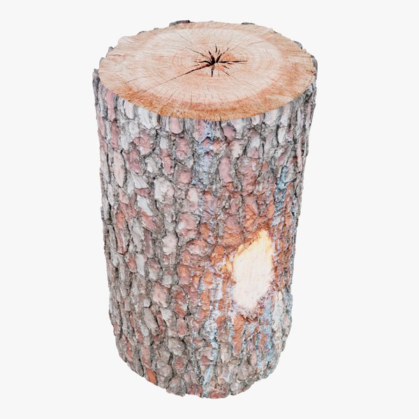 Wooden Log 8K 3D