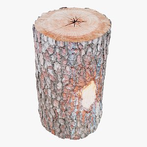 Wooden Log 8K
