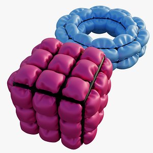 Geometric Inflated Toys