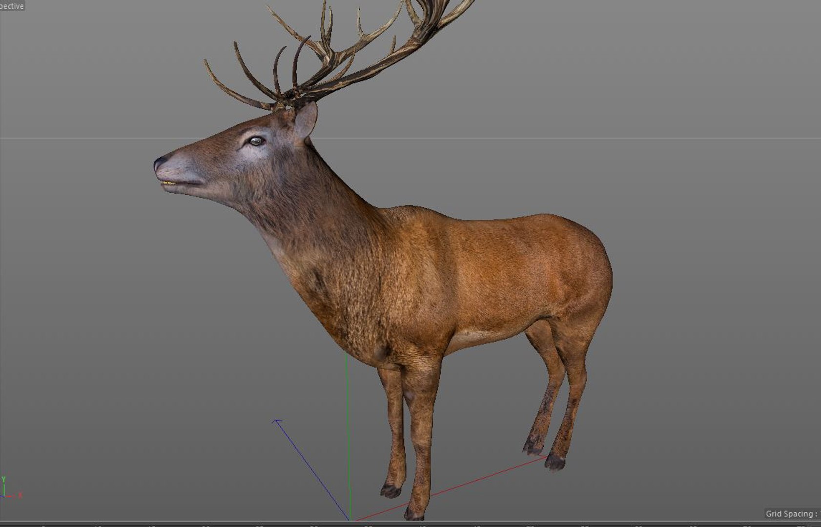 hairs 3D model https://p.turbosquid.com/ts-thumb/nE/2lZaXG/7t5DlShT/9/jpg/1587124746/1920x1080/fit_q87/7d6f12914309725d52ee2cec930959336a75ca34/9.jpg