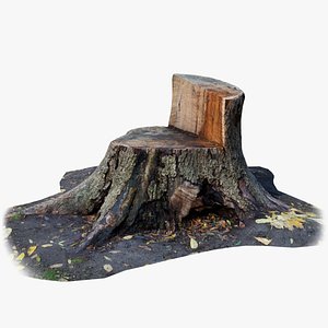 3D Tree Stump Cut into Chair PBR Scan Retopo model