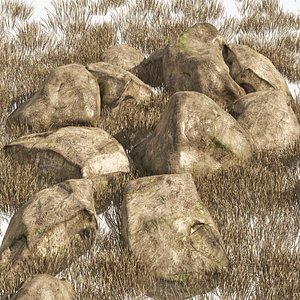 3D Granite Rock Stones with Dry Grass Terrain model