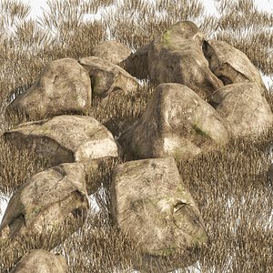 Granite Rock Stones with Dry Grass Terrain