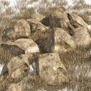 Granite Rock Stones with Dry Grass Terrain
