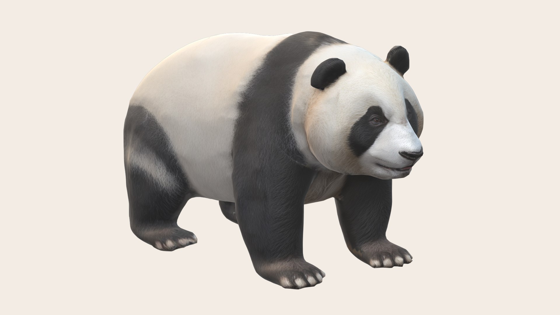 3D Giant Panda Model - TurboSquid 2230769