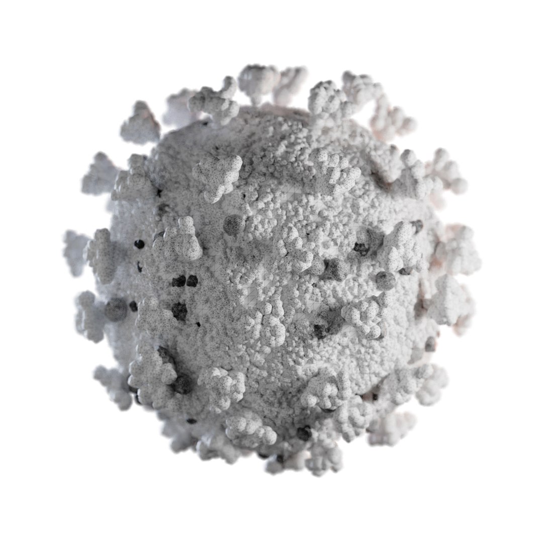 3D corona virus coronavirus covid-19 model https://p.turbosquid.com/ts-thumb/nE/Fg4As9/3UO7jAHV/2/jpg/1584987914/1920x1080/fit_q87/2a8406e3eb1c1369121a3168a55f5da6760cfe62/2.jpg