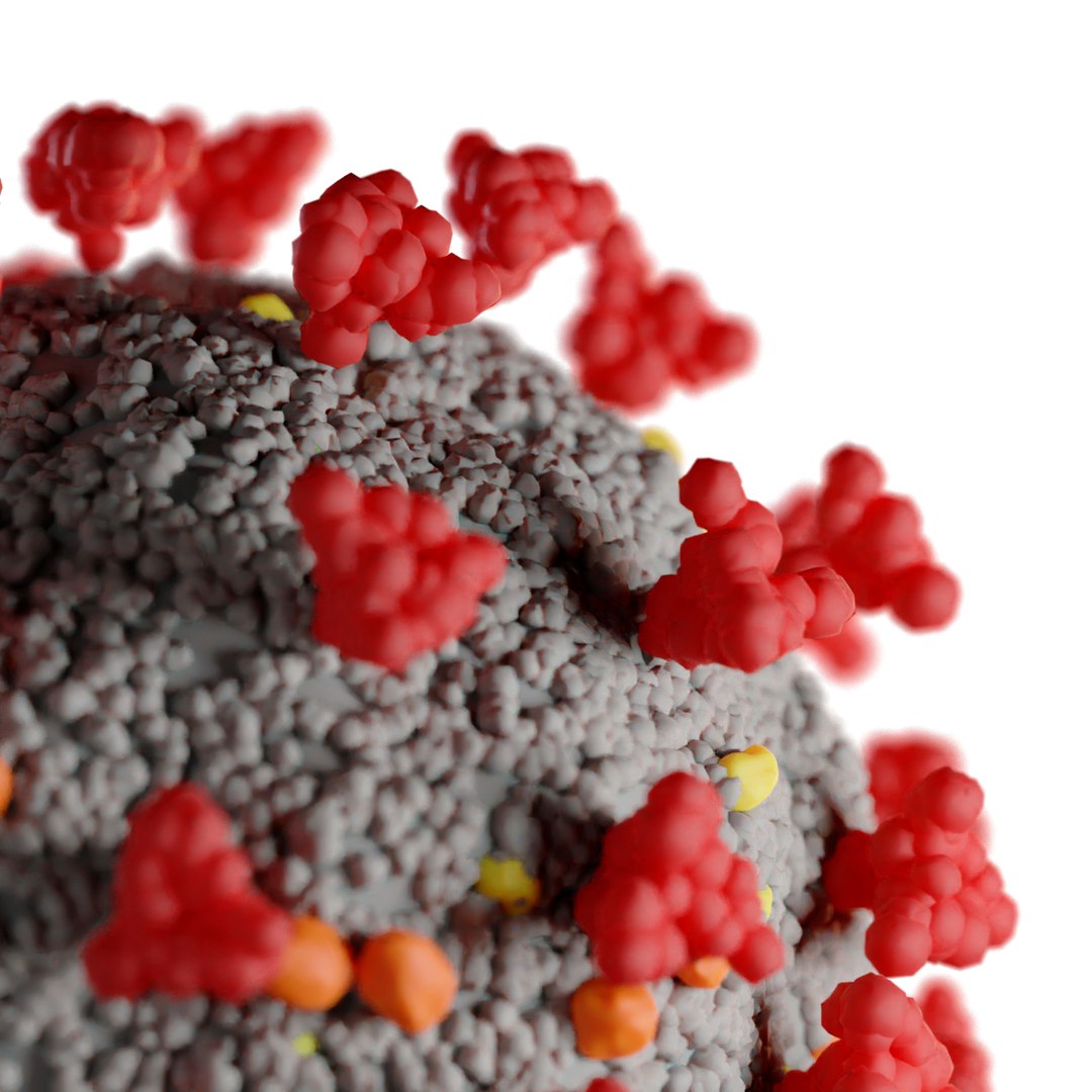 3D corona virus coronavirus covid-19 model https://p.turbosquid.com/ts-thumb/nE/Fg4As9/Jfjb4KhZ/4/jpg/1584987914/1920x1080/fit_q87/992fbe88740500c3b16babd8414e706102419a17/4.jpg