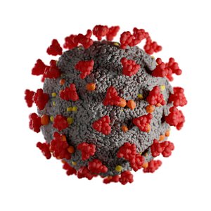 Coronavirus COVID-19