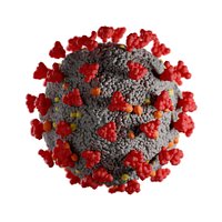 Coronavirus COVID-19