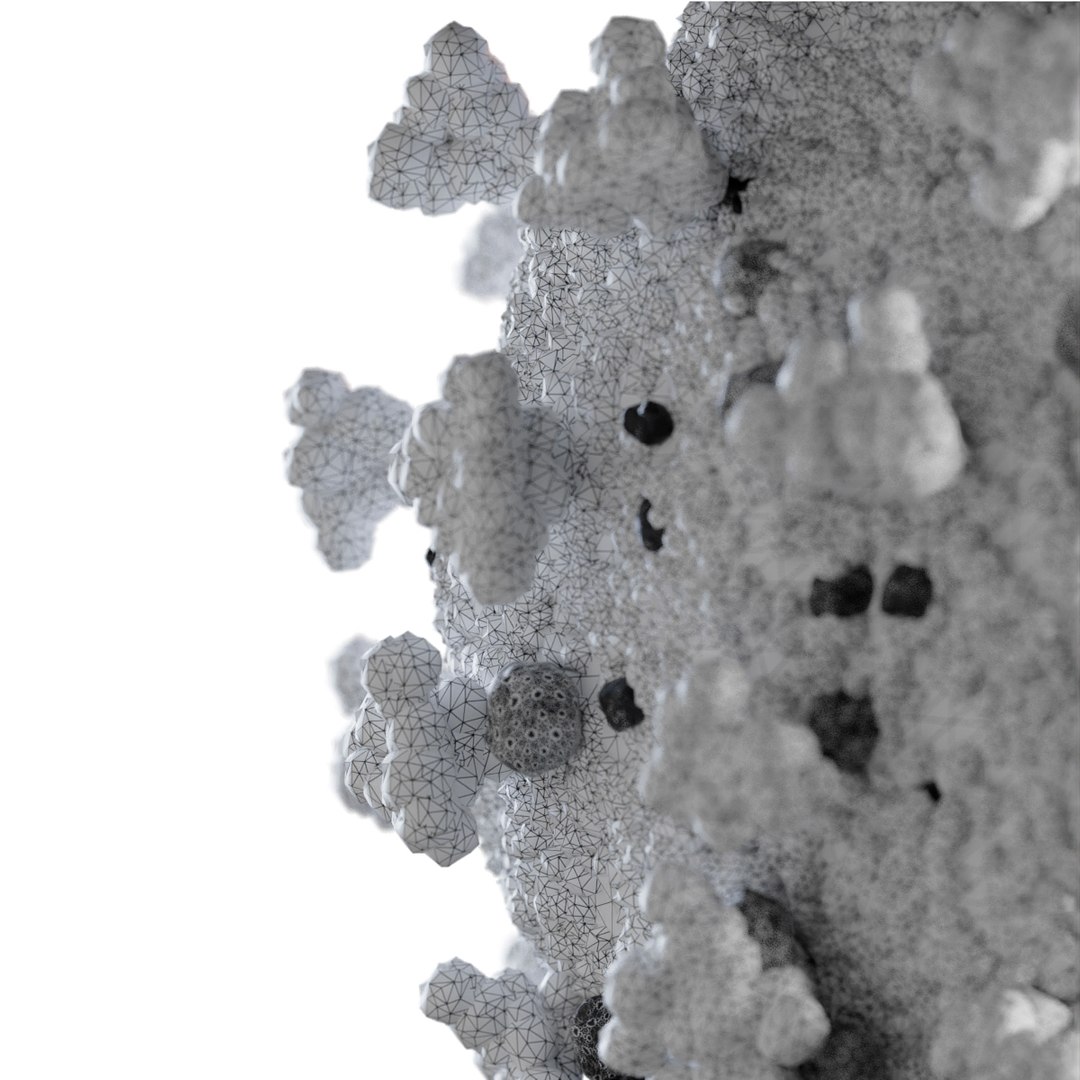 3D corona virus coronavirus covid-19 model https://p.turbosquid.com/ts-thumb/nE/Fg4As9/x6yNNGi3/6/jpg/1584987914/1920x1080/fit_q87/0f949811425b73db6cc830a84313602d02db9386/6.jpg