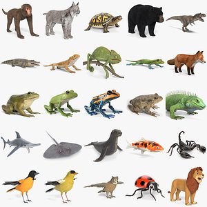 3D Large Collection of Animals