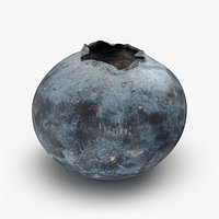 Blueberry 01 - 3D Scanned