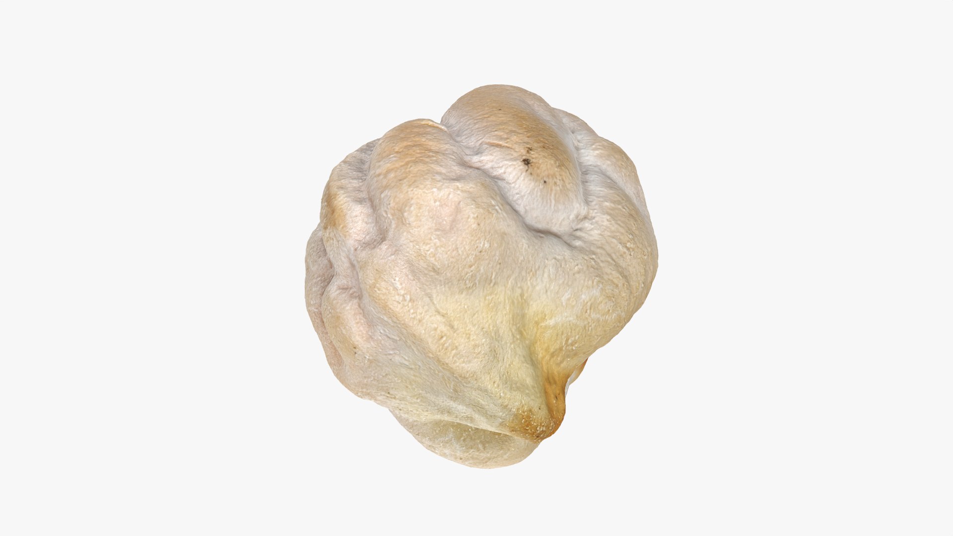 3D Dry Garbanzo Bean 01 https://p.turbosquid.com/ts-thumb/nE/SupUyr/8m/garbanzodry01_0006/png/1763561499/1920x1080/fit_q87/edf6bb5ad29ffc905aa0fa50042cf62098d0aca4/garbanzodry01_0006.jpg