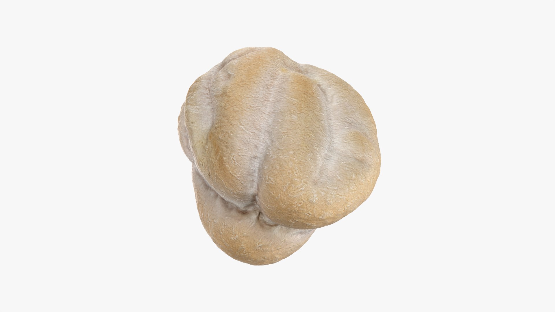 3D Dry Garbanzo Bean 01 https://p.turbosquid.com/ts-thumb/nE/SupUyr/AA/garbanzodry01_0004/png/1763561492/1920x1080/fit_q87/2426f5786a0fdab5cf62ab0eab13b67aced34f53/garbanzodry01_0004.jpg