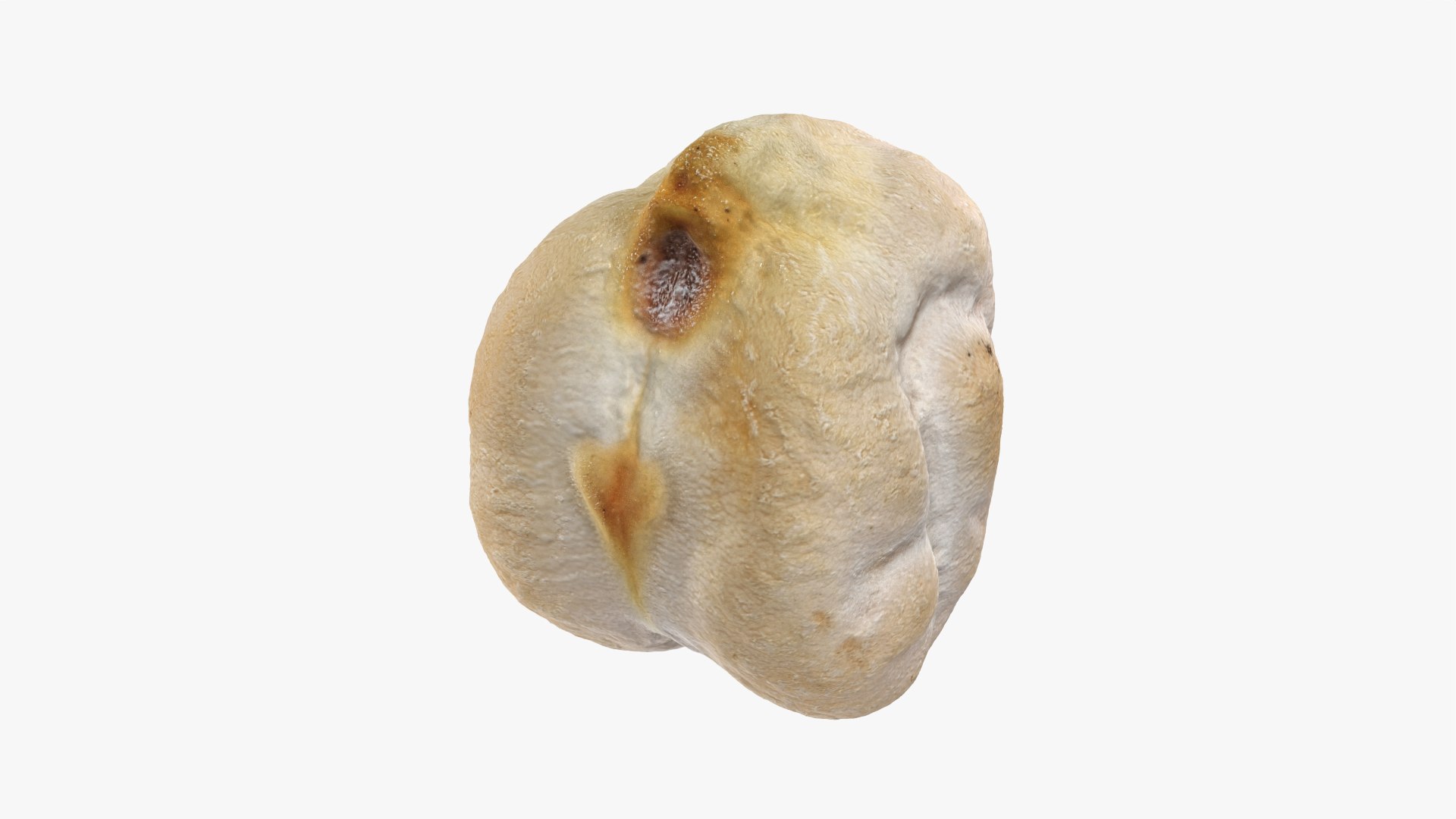 3D Dry Garbanzo Bean 01 https://p.turbosquid.com/ts-thumb/nE/SupUyr/Gg/garbanzodry01_0005/png/1763561503/1920x1080/fit_q87/7d0f2da24a594409ef1c45b1757eb43f405baac6/garbanzodry01_0005.jpg