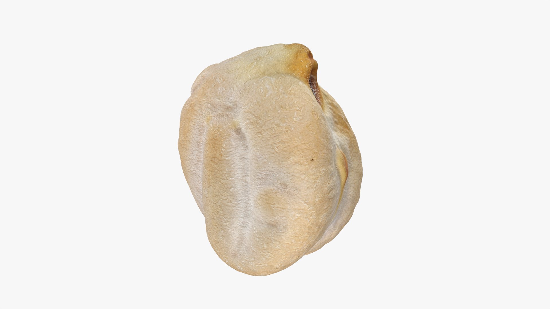 3D Dry Garbanzo Bean 01 https://p.turbosquid.com/ts-thumb/nE/SupUyr/Hg/garbanzodry01_0007/png/1763561497/1920x1080/fit_q87/99d6d00913fd306dfb45fa6bc1544e7ac2de4c2a/garbanzodry01_0007.jpg