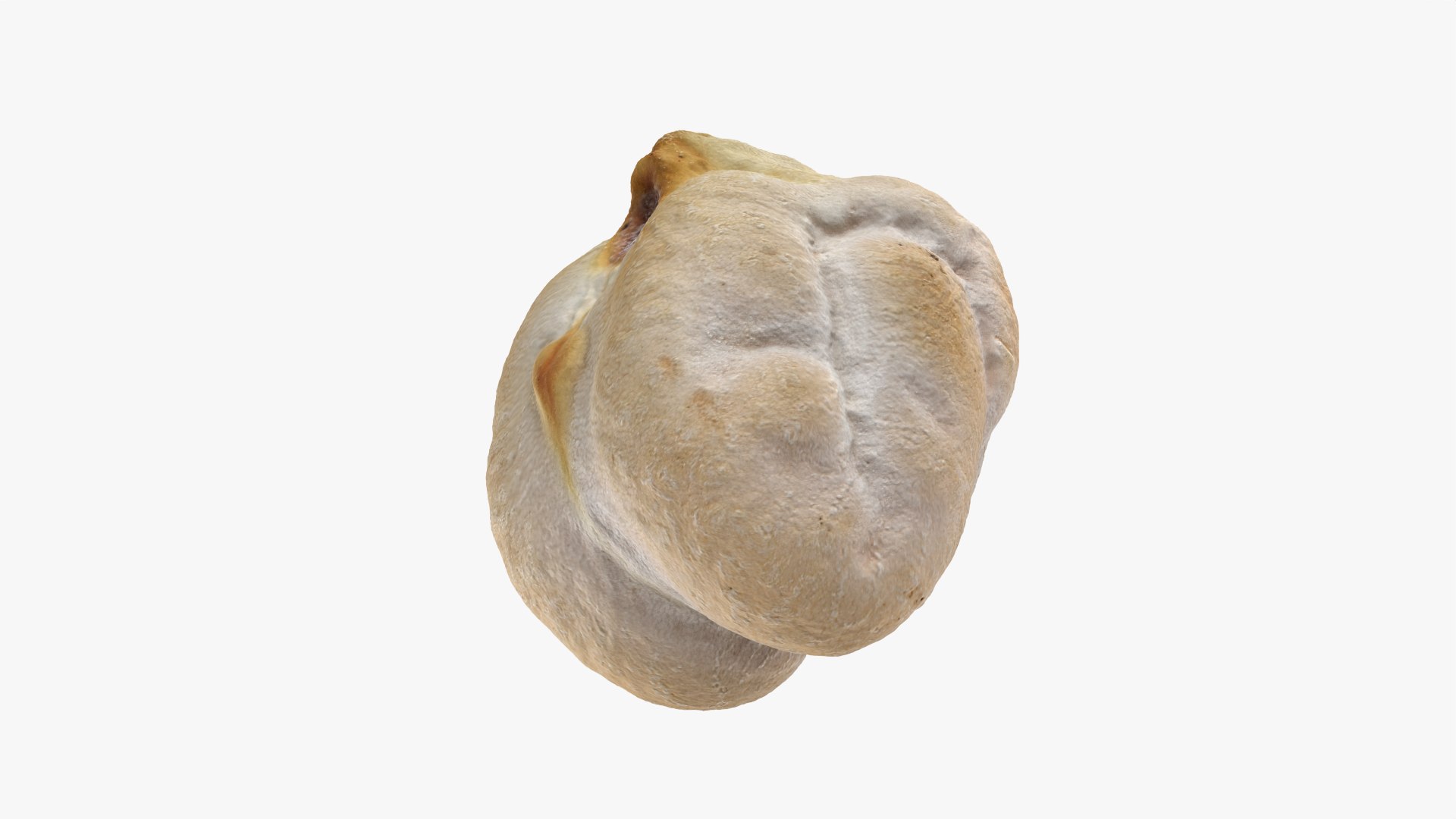 3D Dry Garbanzo Bean 01 https://p.turbosquid.com/ts-thumb/nE/SupUyr/SQ/garbanzodry01_0010/png/1763561509/1920x1080/fit_q87/7b9b3ce2d9152ea430f295002b8e83363fdbb06d/garbanzodry01_0010.jpg