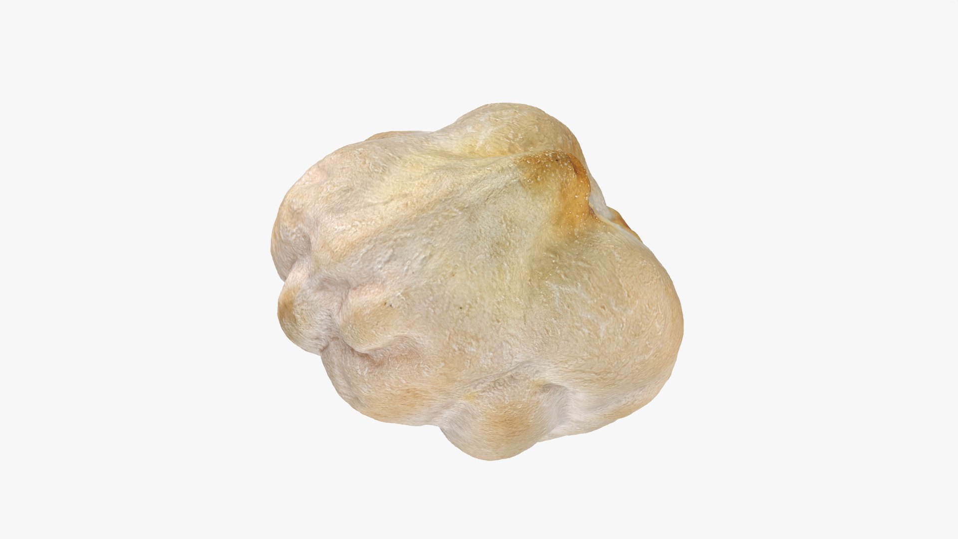 3D Dry Garbanzo Bean 01 https://p.turbosquid.com/ts-thumb/nE/SupUyr/Sz/garbanzodry01_0011/png/1763561512/1920x1080/fit_q87/d2e1dd95fff1c2700ffacb6639c353516d33be88/garbanzodry01_0011.jpg