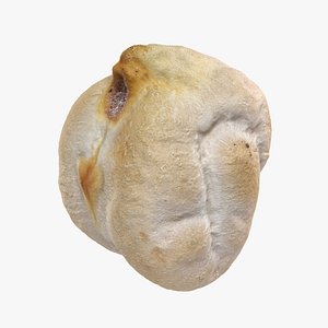 Dry Garbanzo Bean 01
