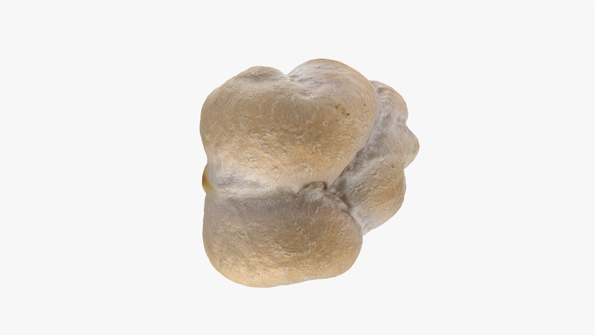3D Dry Garbanzo Bean 01 https://p.turbosquid.com/ts-thumb/nE/SupUyr/X3/garbanzodry01_0012/png/1763561513/1920x1080/fit_q87/cb4ae4452aa8f263c238456bc5d7977c49ba7370/garbanzodry01_0012.jpg