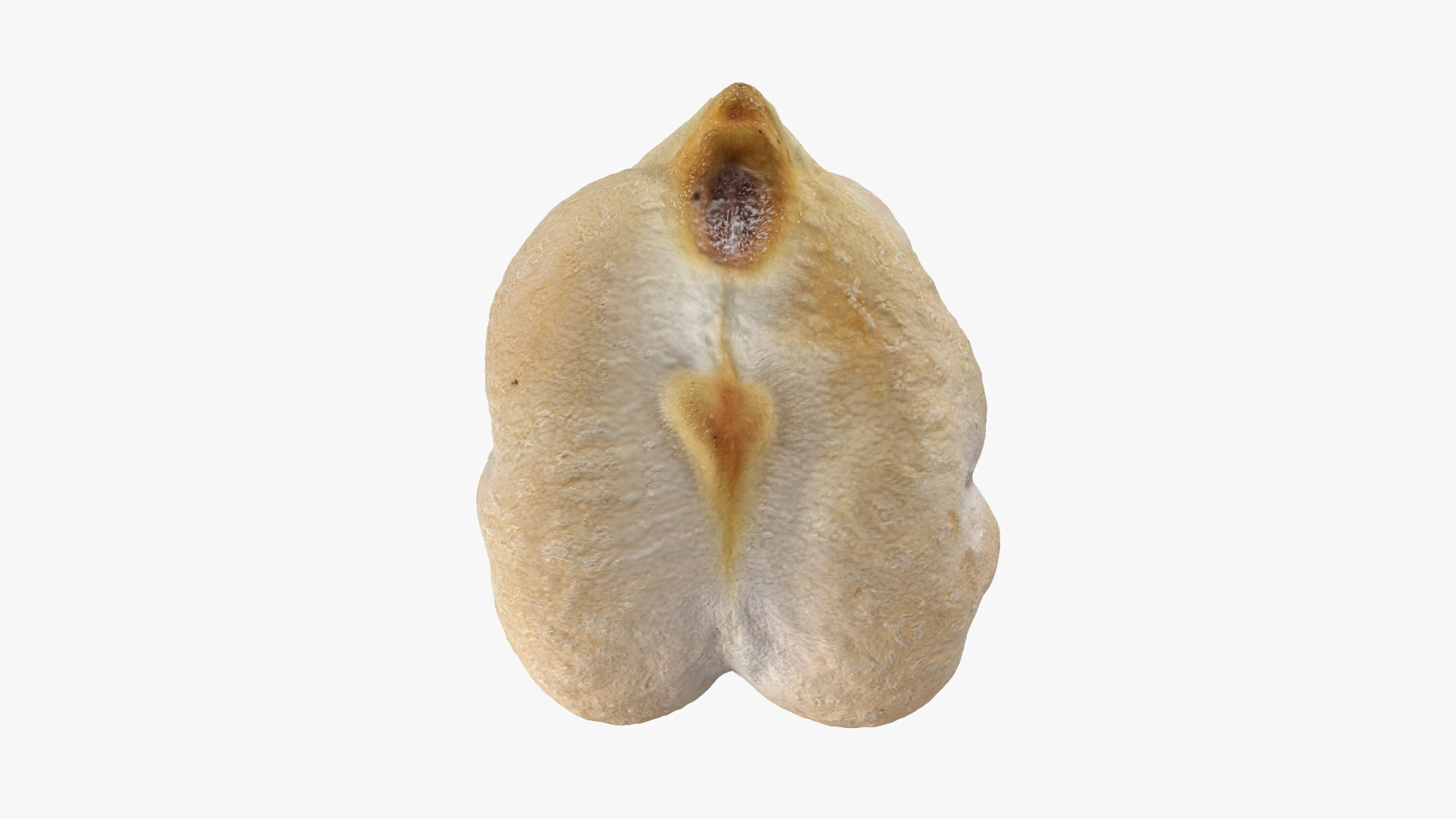 3D Dry Garbanzo Bean 01 https://p.turbosquid.com/ts-thumb/nE/SupUyr/lD/garbanzodry01/png/1763649932/1920x1080/turn_fit_q99/c907d3b4a50289f5aaaa7247979b4f2e4b2e737e/garbanzodry01-1.jpg