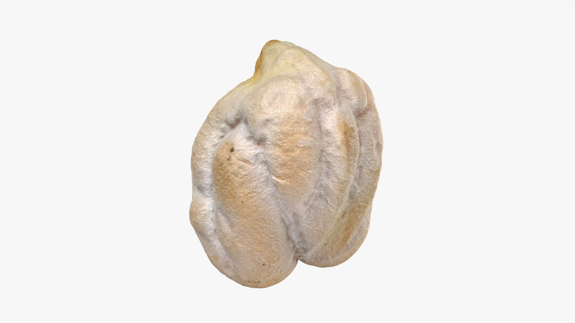 3D Dry Garbanzo Bean 01 https://p.turbosquid.com/ts-thumb/nE/SupUyr/rb/garbanzodry01_0002/png/1763561490/1920x1080/fit_q87/584fd287f1a0c97554ebaf9135b98a6d88d9c3ad/garbanzodry01_0002.jpg