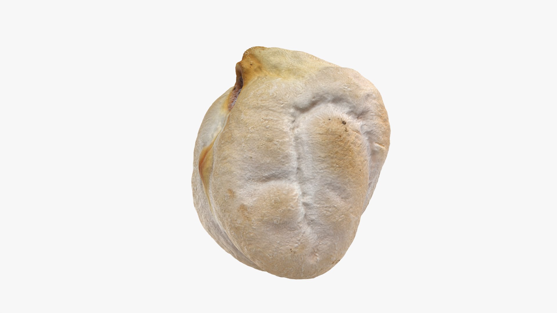 3D Dry Garbanzo Bean 01 https://p.turbosquid.com/ts-thumb/nE/SupUyr/xr/garbanzodry01_0003/png/1763561494/1920x1080/fit_q87/42c2a612f8d66b72e982b7d045ac6b0694892378/garbanzodry01_0003.jpg