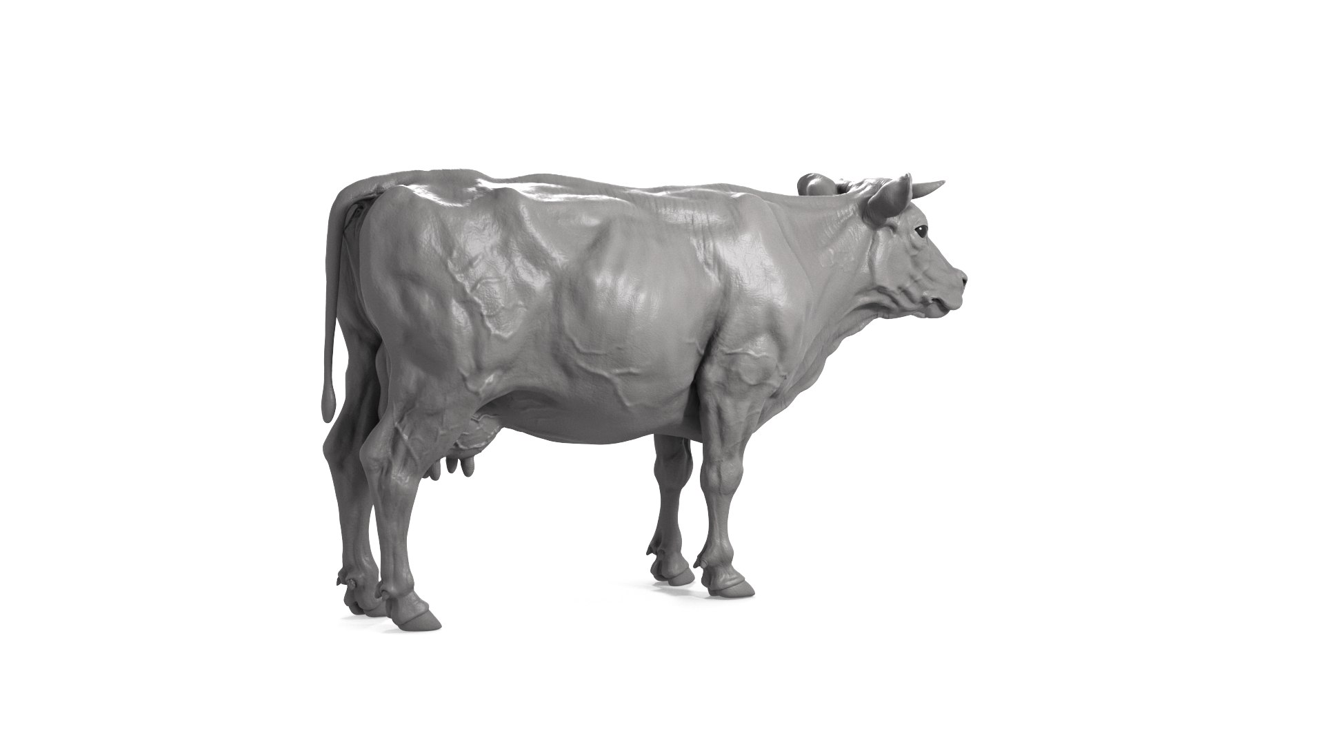 3D Cow model https://p.turbosquid.com/ts-thumb/nE/hNRdtH/9O/cow_cam05/png/1717764470/1920x1080/fit_q87/142c2432cca3f12a2bcd64ed7bd6257e2c00a1ce/cow_cam05.jpg