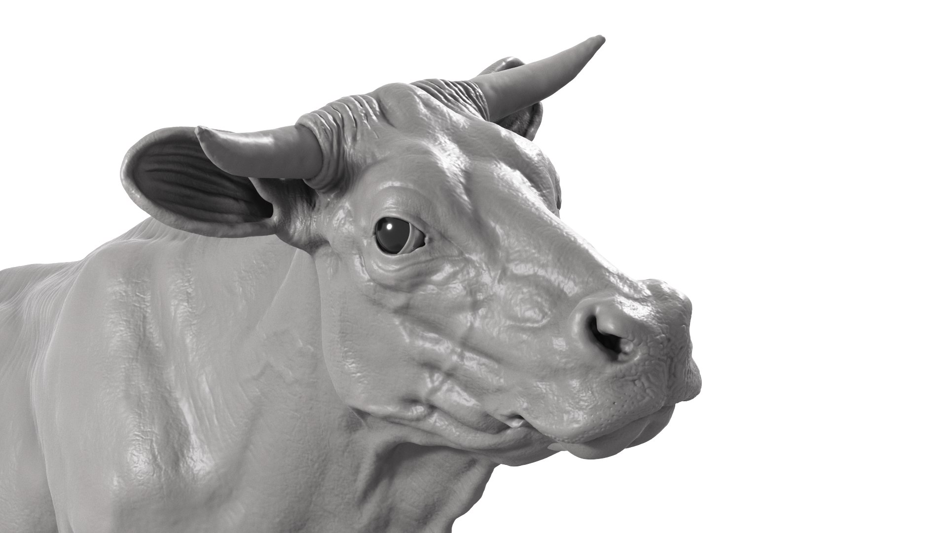 3D Cow model https://p.turbosquid.com/ts-thumb/nE/hNRdtH/As/cow_cam07/png/1717764471/1920x1080/fit_q87/b7aff54232e2300ade17e71bc36912f707a35e9f/cow_cam07.jpg