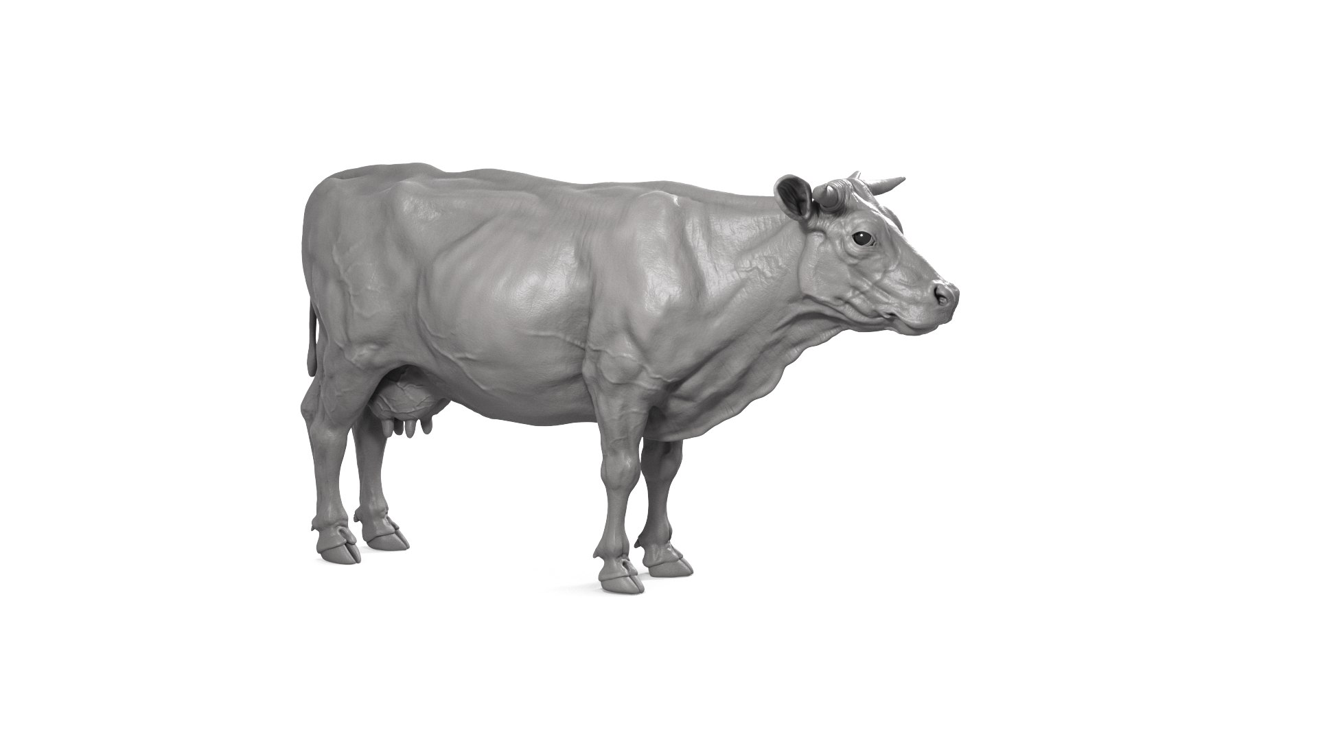 3D Cow model https://p.turbosquid.com/ts-thumb/nE/hNRdtH/W3/cow_cam04/png/1717764470/1920x1080/fit_q87/4be63184d61b5eb198223579f45ab3026ecddd4c/cow_cam04.jpg