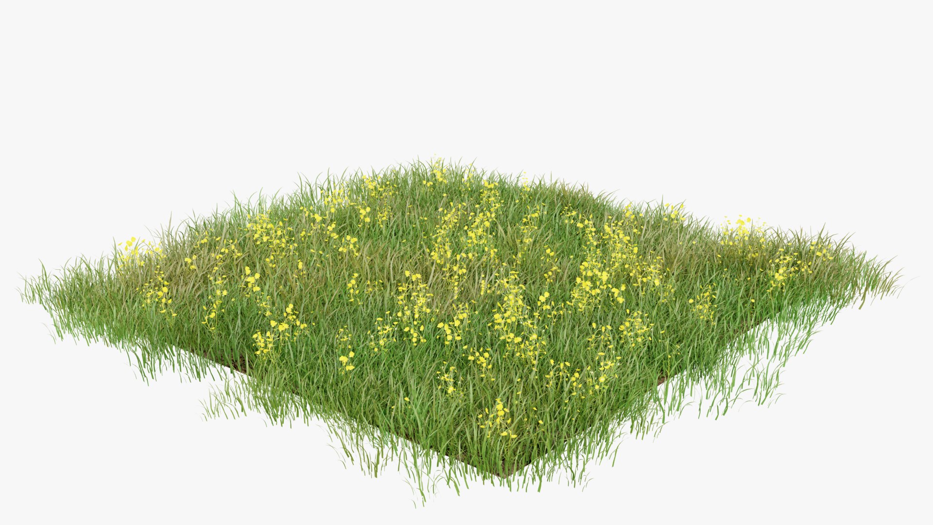 3D Grasses and Flower Field Package https://p.turbosquid.com/ts-thumb/nE/jJs5RQ/2n/renderv20011copy/png/1660400880/1920x1080/fit_q87/c960b8fb6177afd870fc2e1c24de8d2029257fac/renderv20011copy.jpg