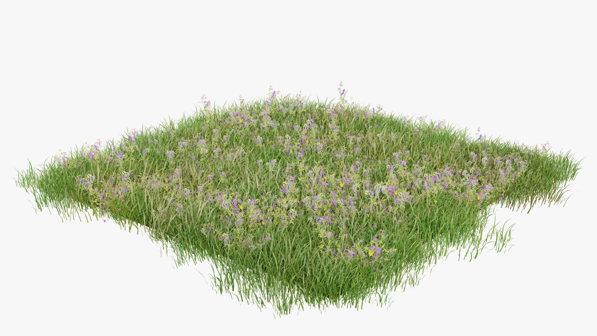 3D Grasses and Flower Field Package https://p.turbosquid.com/ts-thumb/nE/jJs5RQ/3r/renderv20014copy/png/1660400882/1920x1080/fit_q87/eb1c241730c13842c645ec82849a605684d438dd/renderv20014copy.jpg