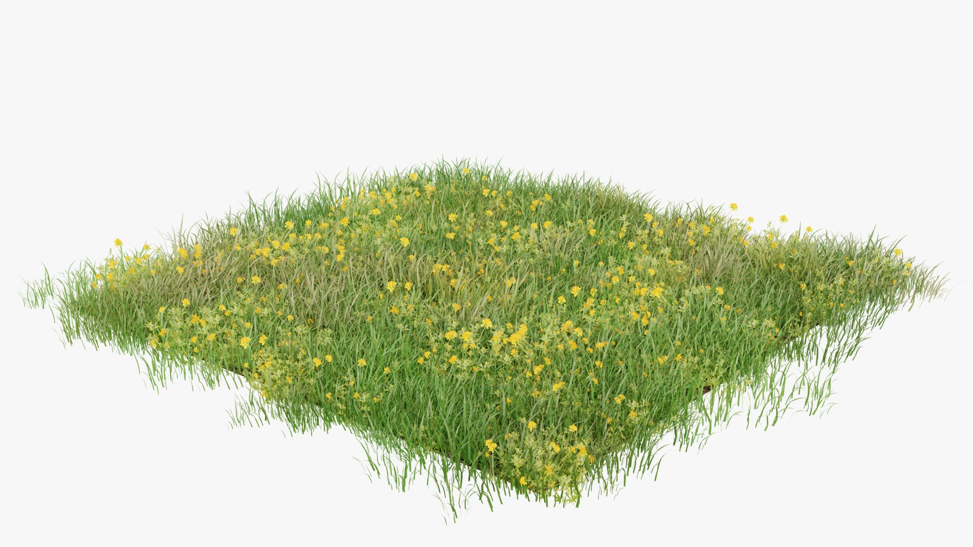 3D Grasses and Flower Field Package https://p.turbosquid.com/ts-thumb/nE/jJs5RQ/4a/renderv20008copy/png/1660400879/1920x1080/fit_q87/fe7391fa6b5341f037e85dec09d95493726a8b3d/renderv20008copy.jpg