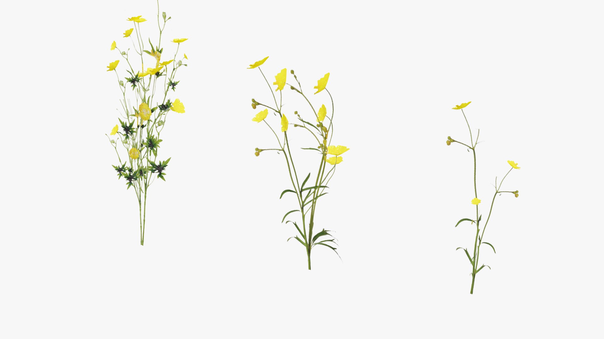3D Grasses and Flower Field Package https://p.turbosquid.com/ts-thumb/nE/jJs5RQ/4h/render0026copy/png/1659882669/1920x1080/fit_q87/9255fb6c36214289c6cf3db817defcc09eb8c644/render0026copy.jpg