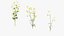 Grasses and Flower Field Package