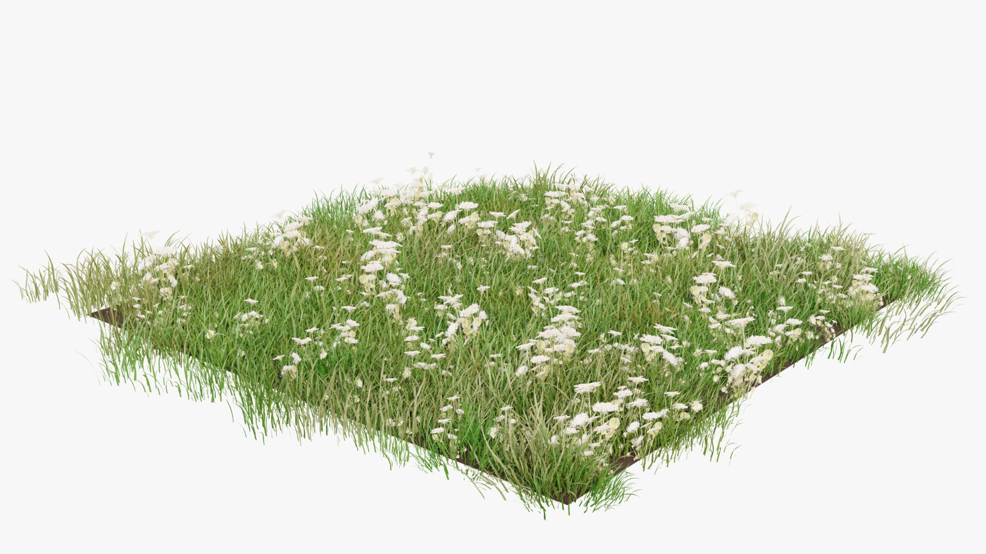 3D Grasses and Flower Field Package https://p.turbosquid.com/ts-thumb/nE/jJs5RQ/4t/renderv20006copy/png/1660400879/1920x1080/fit_q87/4406cd5c4c3cb4bc2b19cb36422efb45f2bb2c19/renderv20006copy.jpg