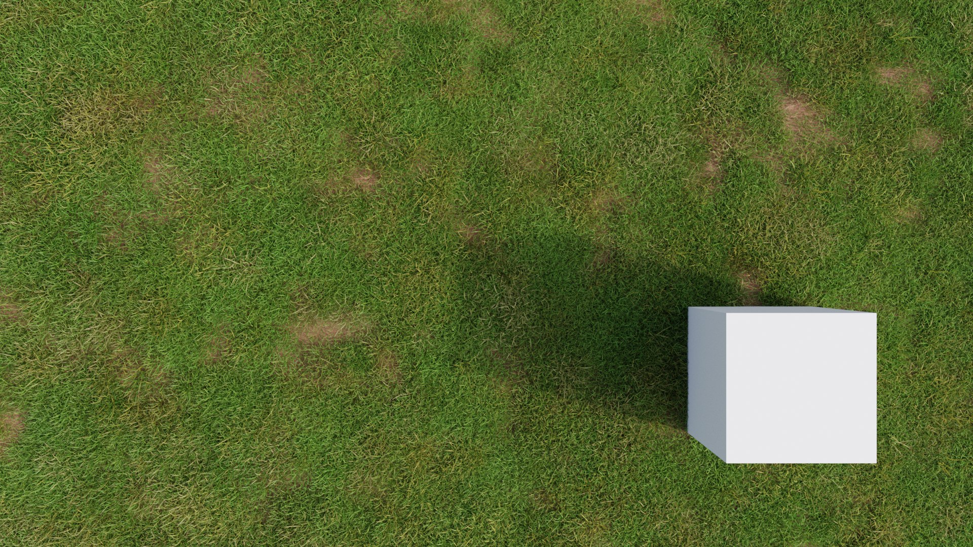 3D Grasses and Flower Field Package https://p.turbosquid.com/ts-thumb/nE/jJs5RQ/Dt/render0009copy/png/1659882616/1920x1080/fit_q87/9628cb98983cedb57f70ca8ee782324ec3cd3d97/render0009copy.jpg