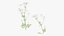 Grasses and Flower Field Package