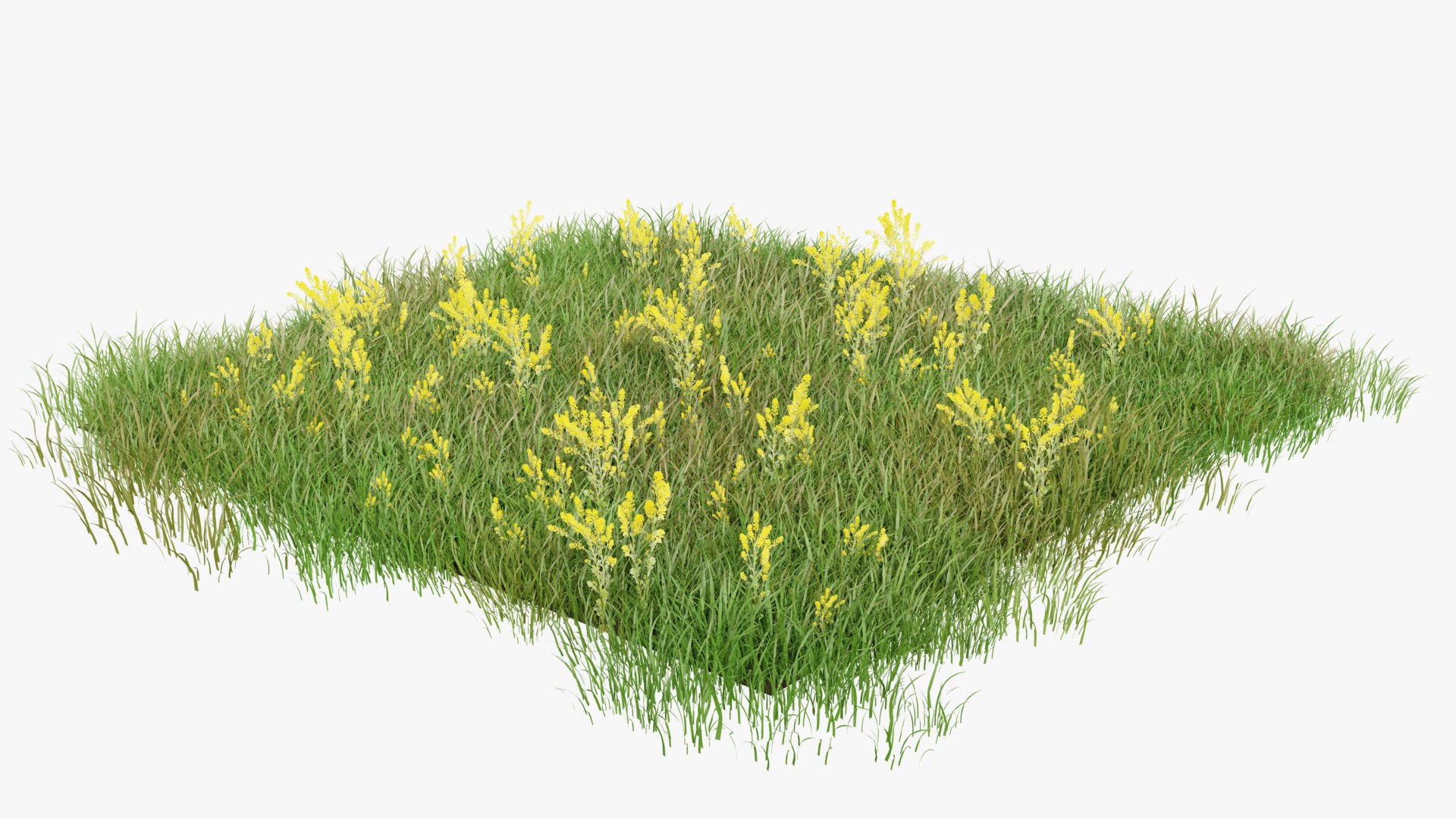 3D Grasses and Flower Field Package https://p.turbosquid.com/ts-thumb/nE/jJs5RQ/M1/renderv20003copy/png/1660400877/1920x1080/fit_q87/16dcecb27376abbf6bc7df47ea1f4b497ae5ff21/renderv20003copy.jpg