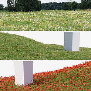 3D Grasses and Flower Field Package