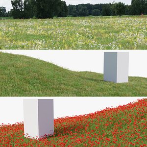 Grasses and Flower Field Package