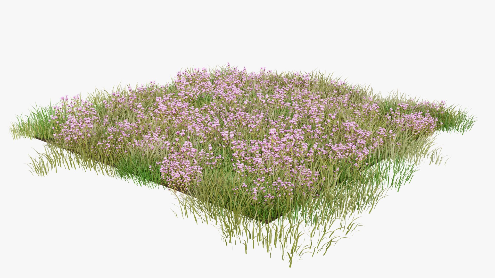 3D Grasses and Flower Field Package https://p.turbosquid.com/ts-thumb/nE/jJs5RQ/PN/renderv20004copy/png/1660400877/1920x1080/fit_q87/158a549381769d495f9d0d398cac4eea93d0ea26/renderv20004copy.jpg