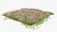 Grasses and Flower Field Package