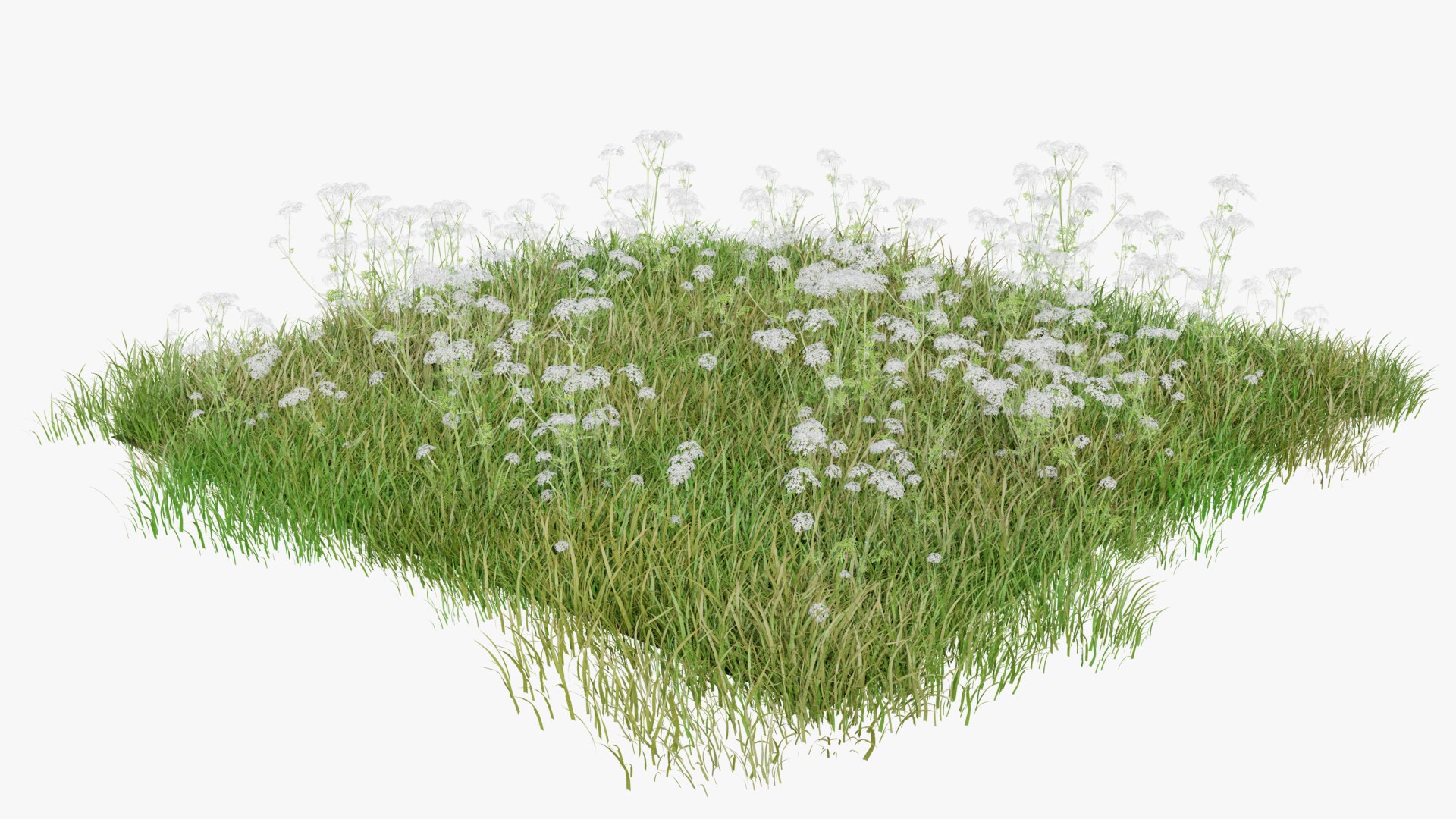 3D Grasses and Flower Field Package https://p.turbosquid.com/ts-thumb/nE/jJs5RQ/S0/renderv20002copy/png/1660400876/1920x1080/fit_q87/fb4e9adf1ad4b8c3bbab4ec736180894b6ed5e56/renderv20002copy.jpg