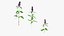 Grasses and Flower Field Package