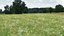 Grasses and Flower Field Package