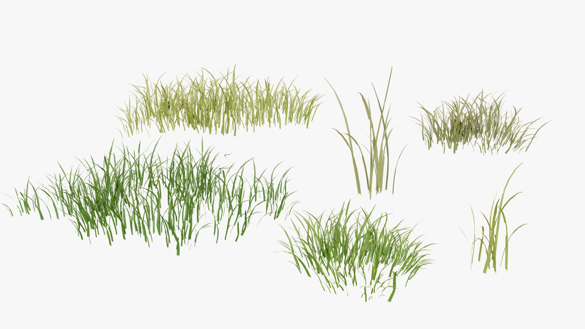 3D Grasses and Flower Field Package https://p.turbosquid.com/ts-thumb/nE/jJs5RQ/e4/render0030copy/png/1659882671/1920x1080/fit_q87/b2def05d70d1a3fbe6bf26712f07d7087b88a37a/render0030copy.jpg