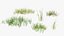Grasses and Flower Field Package